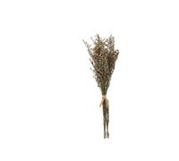 6 Pièces Bouquet Fleurs Sechees, D’Herbe Décorative pour Vases | Arrosage, Couleur Solide, Accessoire Décoration Mariage, Vitrine Commerciale, Accessoire Photo, Couleur Aléatoire