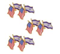 6 Pièces Épingle de Revers Américano-israélienne | Double Drapeau, Résine Coulée, Portable et Résistante, pour Cérémonies Diplomatiques et Collectionneurs