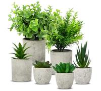 6 PièCes Fausse Plante Interieur, DéCoration De Salon, Mini Plantes Artificielles Langue De Serpent, Agave Succulente, AloèS Griffe D'Aigle, Plantes Artificielles Pour DéCoration De Bureau De Chambre