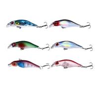 6 Pièces Leurre de Pêche Simulé Minnow 5cm 2,7g, Hameçon 10 | Abs, Usage Mer et Eau Douce, Forme Vive, pour Passionnés de Pêche en Extérieur