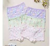 6 pièces/paquet Culottes imprimées en coton confortables de la série rose fée pour filles 6Y,7Y,8Y,9Y,10Y,4Y,5YPlantesÉtoffe
