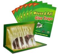 6 Pièces Piege a Souris Colle Collant Pièges à Souris Attrape Anti Souris Rat Glue Plaque Collante Piège Souris et à Rat