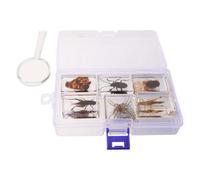 6 Pièces Presse-papier Insecte Spécimen en Résine pour Enseignement | Représentation D’insecte Véritable, Présentation Polyvalente, Aide à Maintenir les Notes en Place, Découverte