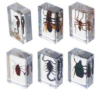 6 Pièces Spécimen D’insecte en Résine, Collection Éducative | Surface Polie et Finition Nette, Résine Transparente, pour Bureau D’étude, Collection et Appui Papier