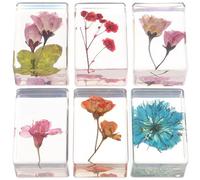 6 Pièces Spécimen de Fleurs Séchées Rectangulaire | Matériau Résine Transparent, Présentation Créative, Rangement Facile, pour Élèves Enseignants, Démonstration Style Aléatoire