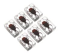 6 Pièces Spécimen Insecte en Résine Décoratif Artisanal | Art Décoratif, Finition Manuelle, Usage Intérieur, Style Collection, pour Présentations de Bureau et Maison