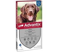 6 pipettes de 4 ml d’Advantix® Spot-on, antiparasitaire pour chiens de 25 kg à 40 kg. Élimine tiques, puces, poux et larves de puces dans la maison. Protège contre les moustiques, les phlébotomes et