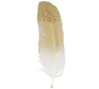 6 plumes dorées à paillettes Doré G