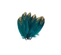 6 Plumes éthnique bleu paon et or 18-20 cm - Vert