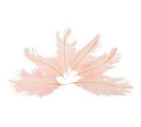 6 plumes féeriques rose et paillettes or 15cm - artifetes 83421 Rose G