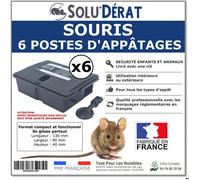 6 Postes d'appâtage pour Souris, Sécurisé pour Enfants et Animaux - Lot de 6 unités-Boite vendu vide sans appât