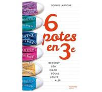 6 potes en 3e - Sophie Laroche - Hachette Romans - Poche - Roman junior dès 9 ans