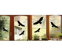 6 pour oiseaux - Oiseaux fenêtre verre fenêtre de rapaces je 24 x 10 cm b397, Plastique, noir, je ca. 24x10 cm