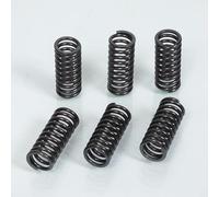 6 ressorts d'embrayage renforcés compatible avec moto Yamaha 600 Fazer 2000-2003 HSP-215-6