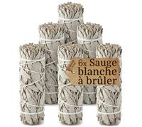 6 Sauge Blanche Purification à brûler Encens Naturel sans Additifs Bâton10cm Rituel Méditation Yoga Nettoyage Énergétique Relaxation Bien Être Spirituel Sage Salvia Apiana