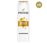 6 Shampoings Repair & Protect 250ml - Pantene
