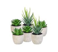 : 6 succulentes artificielles en pots 8 / 9 / 15 cm