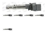 6 x Bobine d'allumage BorgWarner (BERU) pour AUDI, SKODA, VW ATLAS (CA1, CA2