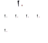 NGK 48147 Bobine d'allumage