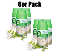 6 x recharge Airwick 250 ml fleurs blanches pour recharge Freshmatic Max