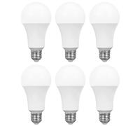 6 X SPECTRUM LED Ampoules 18W = 120W E27 Mat 1800lm Blanc Chaud