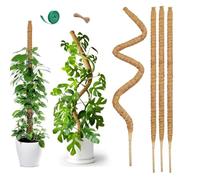 60 cm x 4 Pièces Tuteur en Mousse de Coco Flexible | Tuteur Naturel pour Plantes Jeunes Monstera, Hoya | Noyau Aluminium Anti-Rouille + Accessoires