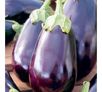 60 Graines D Aubergine Black Beauty