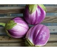 60 Graines d'Aubergine Rontonda di Bianca - légumes semis potager - semences paysannes