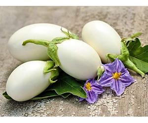 60 Graines d'Aubergine White egg - légume jardin potager terrasse - semences paysannes reproductibles - SemiSauvage