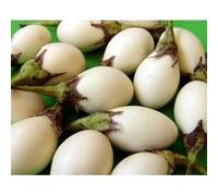 60 Graines d'Aubergine White egg - légumes semis potager - méthode BIO