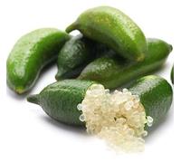 60 graines de citron caviar