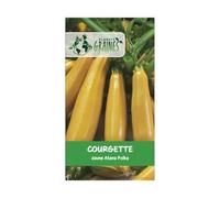 60 graines de courgette jaune atena polka