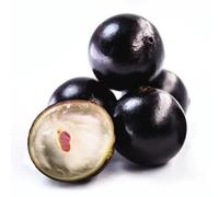 60 graines de fruits de Jaboticaba noirs