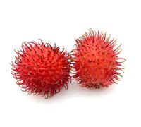 60 graines de fruits de ramboutan