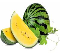 60 graines de pastèque jaune