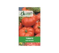 60 graines de tomate marmande VR - graines -tomato solanum lycopersicum -beef tomato - gros fruits