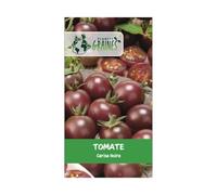 60 graines tomate cerise noire black cherry fruit sucré et productif