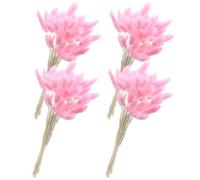 60 Pièces Bouquet de Queues de Lapin Séchées Rose, Environ 60