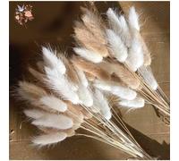 60 pièces mélange queue de lapin herbe naturel Lagurus Ovatus Pampas fleurs séchées Bouquet Floral décoration de mariage maison Photo accessoires décor Apple Green