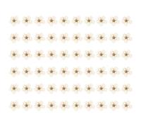 60 pièces Mini Fleurs pressées Fleurs de Narcisse séchées pour Artisanat d'art Scrapbooking résine Bijoux étui de téléphone Nail Art Artisanat Bricolage Fabrication