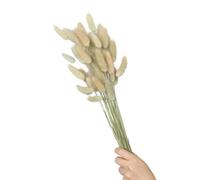 60 pièces queues de lièvre Fleur séchée 23.6 Pouces résistant à la décoloration pour la décoration intérieure de la Maison centres de Table de fête de Mariage de de lièvre