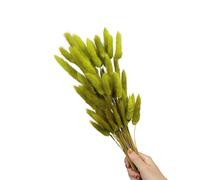 60 pièces queues de lièvre Fleur séchée 23.6 Pouces résistant à la décoloration pour la décoration intérieure de la Maison centres de Table de fête de Mariage de de lièvre