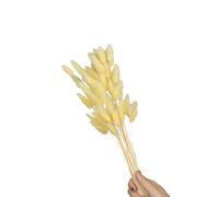 60 pièces queues de lièvre Naturelles Fleur séchée 23.6 Pouces de Pampas sèche Naturelle pour Les Arrangements de Vase décoration de la Maison Vacances de Mariage séchées