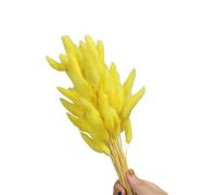 60 pièces queues de lièvre Naturelles Fleur séchée 23.6 Pouces de Pampas sèche Naturelle pour Les Arrangements de Vase décoration de la Maison Vacances de Mariage séchées