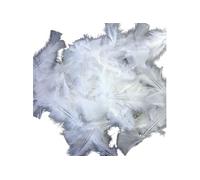 60 plumes de coq blanches 10 cm