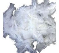 60 plumes de coq blanches 10 cm