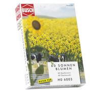 60 tournesols H0