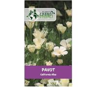 600 Graines Coquelicot de Californie creme blanc - alba - Eschscholzia