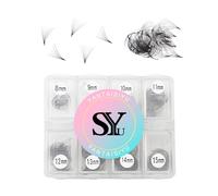 600 Pcs Extension Cils Easy Fan 10D Extension de Cils en Soie Bouquet Prefait Mix 8-15mm Faux Cils Individuel D Curl (10D-0.07-D-8-15mm)