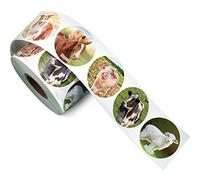 600 Pièces Stickers d'Animal de Ferme Rouleau de Stickers d'Animal Réalistes Autocollants Stickers d'Étiquette d'Amis Basse-Cour Fournitures d'Enseignement pour Récompense, 1,5 Pouces